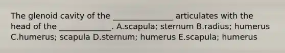 The glenoid cavity of the _______________ articulates with the head of the _____________. A.scapula; sternum B.radius; humerus C.humerus; scapula D.sternum; humerus E.scapula; humerus