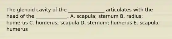 The glenoid cavity of the _______________ articulates with the head of the _____________. A. scapula; sternum B. radius; humerus C. humerus; scapula D. sternum; humerus E. scapula; humerus