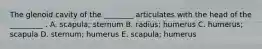 The glenoid cavity of the ________ articulates with the head of the _________ . A. scapula; sternum B. radius; humerus C. humerus; scapula D. sternum; humerus E. scapula; humerus