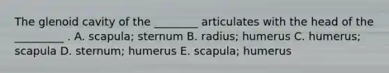 The glenoid cavity of the ________ articulates with the head of the _________ . A. scapula; sternum B. radius; humerus C. humerus; scapula D. sternum; humerus E. scapula; humerus