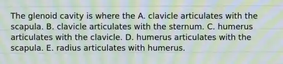 The glenoid cavity is where the A. clavicle articulates with the scapula. B. clavicle articulates with the sternum. C. humerus articulates with the clavicle. D. humerus articulates with the scapula. E. radius articulates with humerus.