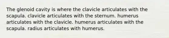 The glenoid cavity is where the clavicle articulates with the scapula. clavicle articulates with the sternum. humerus articulates with the clavicle. humerus articulates with the scapula. radius articulates with humerus.