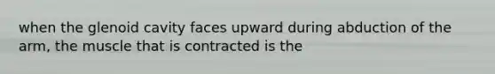 when the glenoid cavity faces upward during abduction of the arm, the muscle that is contracted is the