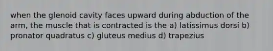 when the glenoid cavity faces upward during abduction of the arm, the muscle that is contracted is the a) latissimus dorsi b) pronator quadratus c) gluteus medius d) trapezius