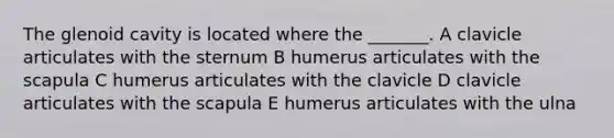 The glenoid cavity is located where the _______. A clavicle articulates with the sternum B humerus articulates with the scapula C humerus articulates with the clavicle D clavicle articulates with the scapula E humerus articulates with the ulna