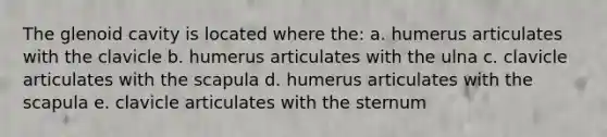 The glenoid cavity is located where the: a. humerus articulates with the clavicle b. humerus articulates with the ulna c. clavicle articulates with the scapula d. humerus articulates with the scapula e. clavicle articulates with the sternum