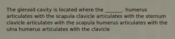 The glenoid cavity is located where the _______. humerus articulates with the scapula clavicle articulates with the sternum clavicle articulates with the scapula humerus articulates with the ulna humerus articulates with the clavicle