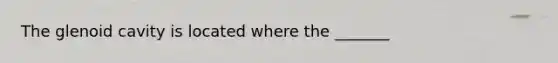 The glenoid cavity is located where the _______