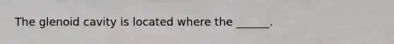 The glenoid cavity is located where the ______.