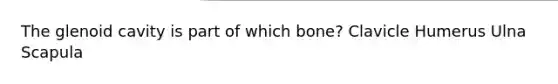 The glenoid cavity is part of which bone? Clavicle Humerus Ulna Scapula