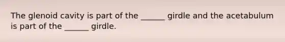 The glenoid cavity is part of the ______ girdle and the acetabulum is part of the ______ girdle.