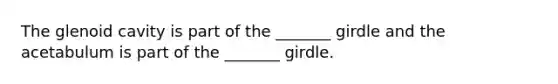 The glenoid cavity is part of the _______ girdle and the acetabulum is part of the _______ girdle.