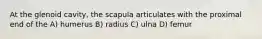 At the glenoid cavity, the scapula articulates with the proximal end of the A) humerus B) radius C) ulna D) femur