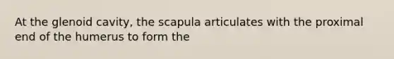 At the glenoid cavity, the scapula articulates with the proximal end of the humerus to form the