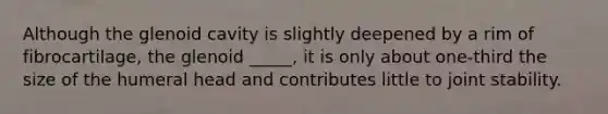 Although the glenoid cavity is slightly deepened by a rim of fibrocartilage, the glenoid _____, it is only about one-third the size of the humeral head and contributes little to joint stability.