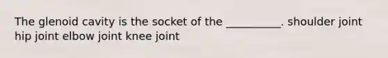 The glenoid cavity is the socket of the __________. shoulder joint hip joint elbow joint knee joint