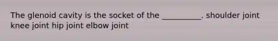 The glenoid cavity is the socket of the __________. shoulder joint knee joint hip joint elbow joint