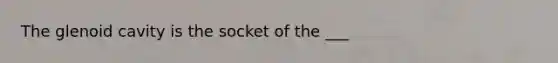 The glenoid cavity is the socket of the ___