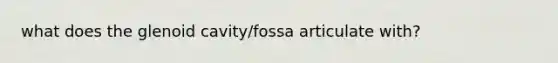 what does the glenoid cavity/fossa articulate with?