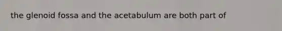 the glenoid fossa and the acetabulum are both part of