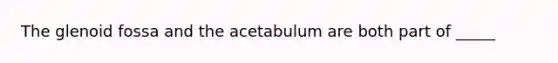 The glenoid fossa and the acetabulum are both part of _____