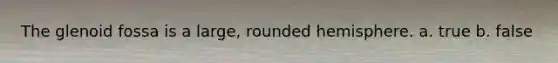 The glenoid fossa is a large, rounded hemisphere. a. true b. false