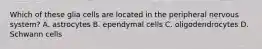 Which of these glia cells are located in the peripheral nervous system? A. astrocytes B. ependymal cells C. oligodendrocytes D. Schwann cells