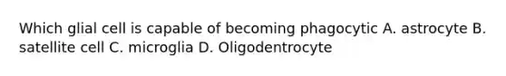 Which glial cell is capable of becoming phagocytic A. astrocyte B. satellite cell C. microglia D. Oligodentrocyte