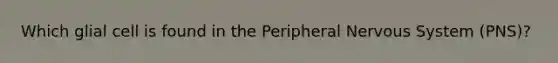 Which glial cell is found in the Peripheral <a href='https://www.questionai.com/knowledge/kThdVqrsqy-nervous-system' class='anchor-knowledge'>nervous system</a> (PNS)?