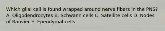 Which glial cell is found wrapped around nerve fibers in the PNS? A. Oligodendrocytes B. Schwann cells C. Satellite cells D. Nodes of Ranvier E. Ependymal cells