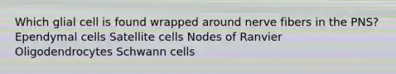 Which glial cell is found wrapped around nerve fibers in the PNS? Ependymal cells Satellite cells Nodes of Ranvier Oligodendrocytes Schwann cells