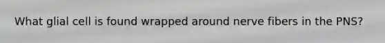 What glial cell is found wrapped around nerve fibers in the PNS?