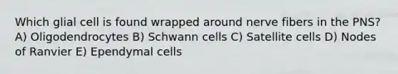 Which glial cell is found wrapped around nerve fibers in the PNS? A) Oligodendrocytes B) Schwann cells C) Satellite cells D) Nodes of Ranvier E) Ependymal cells