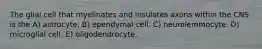 The glial cell that myelinates and insulates axons within the CNS is the A) astrocyte. B) ependymal cell. C) neurolemmocyte. D) microglial cell. E) oligodendrocyte.