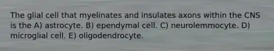 The glial cell that myelinates and insulates axons within the CNS is the A) astrocyte. B) ependymal cell. C) neurolemmocyte. D) microglial cell. E) oligodendrocyte.