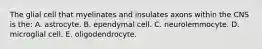 The glial cell that myelinates and insulates axons within the CNS is the: A. astrocyte. B. ependymal cell. C. neurolemmocyte. D. microglial cell. E. oligodendrocyte.