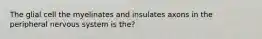 The glial cell the myelinates and insulates axons in the peripheral nervous system is the?
