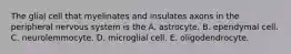 The glial cell that myelinates and insulates axons in the peripheral nervous system is the A. astrocyte. B. ependymal cell. C. neurolemmocyte. D. microglial cell. E. oligodendrocyte.