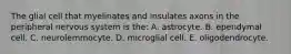 The glial cell that myelinates and insulates axons in the peripheral nervous system is the: A. astrocyte. B. ependymal cell. C. neurolemmocyte. D. microglial cell. E. oligodendrocyte.