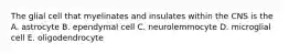 The glial cell that myelinates and insulates within the CNS is the A. astrocyte B. ependymal cell C. neurolemmocyte D. microglial cell E. oligodendrocyte