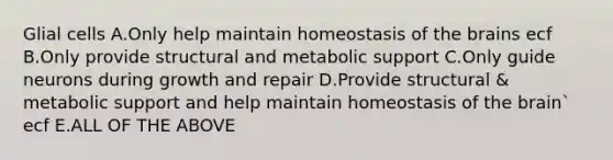 Glial cells A.Only help maintain homeostasis of the brains ecf B.Only provide structural and metabolic support C.Only guide neurons during growth and repair D.Provide structural & metabolic support and help maintain homeostasis of the brain` ecf E.ALL OF THE ABOVE