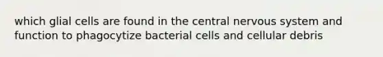 which glial cells are found in the central nervous system and function to phagocytize bacterial cells and cellular debris