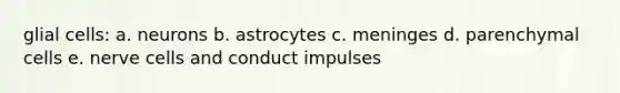 glial cells: a. neurons b. astrocytes c. meninges d. parenchymal cells e. nerve cells and conduct impulses