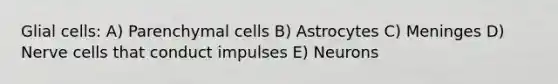 Glial cells: A) Parenchymal cells B) Astrocytes C) Meninges D) Nerve cells that conduct impulses E) Neurons