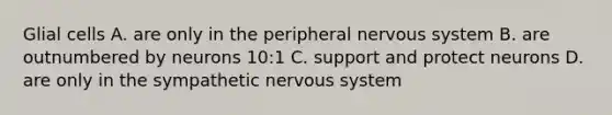 Glial cells A. are only in the peripheral nervous system B. are outnumbered by neurons 10:1 C. support and protect neurons D. are only in the sympathetic nervous system