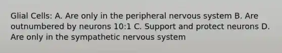 Glial Cells: A. Are only in the peripheral nervous system B. Are outnumbered by neurons 10:1 C. Support and protect neurons D. Are only in the sympathetic nervous system