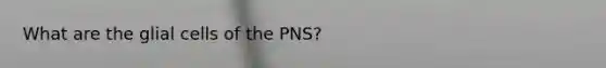 What are the glial cells of the PNS?