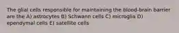 The glial cells responsible for maintaining the blood-brain barrier are the A) astrocytes B) Schwann cells C) microglia D) ependymal cells E) satellite cells