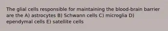 The glial cells responsible for maintaining the blood-brain barrier are the A) astrocytes B) Schwann cells C) microglia D) ependymal cells E) satellite cells