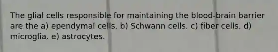 The glial cells responsible for maintaining the blood-brain barrier are the a) ependymal cells. b) Schwann cells. c) fiber cells. d) microglia. e) astrocytes.
